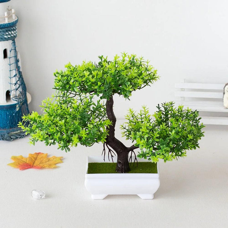 Bonsai Charm - Prime Compra